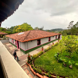 FAUNO COMPLETO 15 PERSONAS